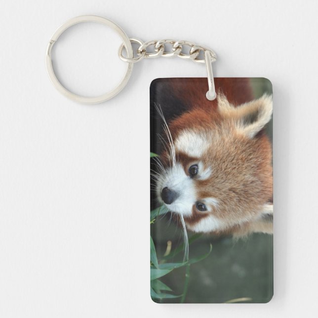 Red Panda, Taronga Zoo, Sydney, Australia Keychain (Front)