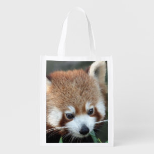 Red Panda, Taronga Zoo, Sydney, Australia Reusable Grocery Bag