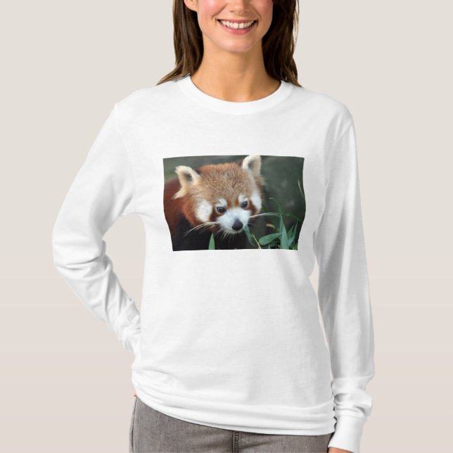 Red Panda, Taronga Zoo, Sydney, Australia T-Shirt (Front)
