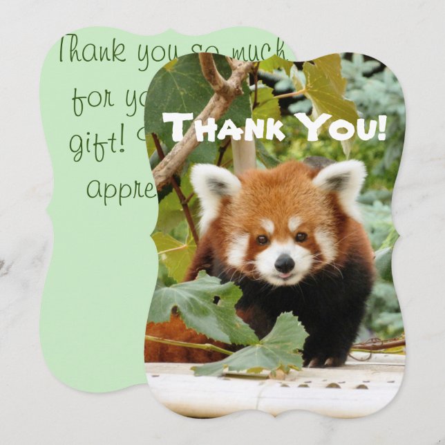 Artery8 Grußkarte ‚Red Panda‘ – 17,5x12,5 Cm, Hochwertiges Papier, Blanko Innen