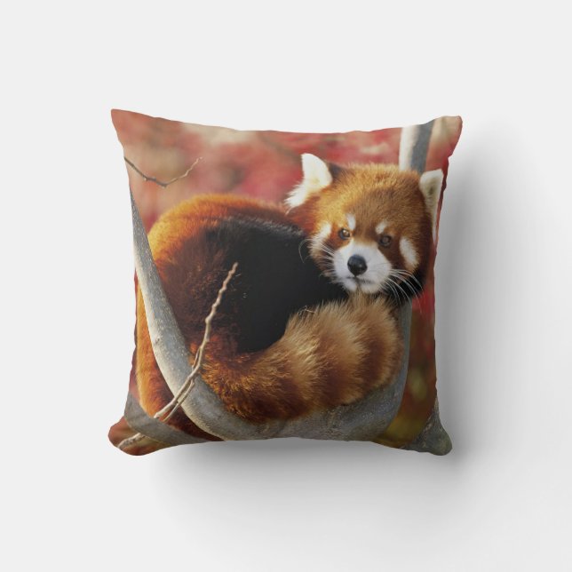 Red Panda Throw Pillow (Front)