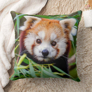 Red Panda Throw Pillow