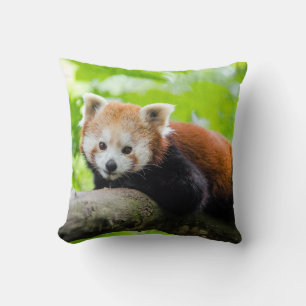 Red Panda Throw Pillow