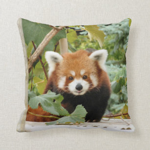 red panda body pillow