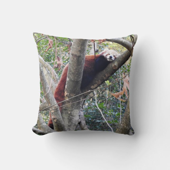 Red Panda Throw Pillow (Front)