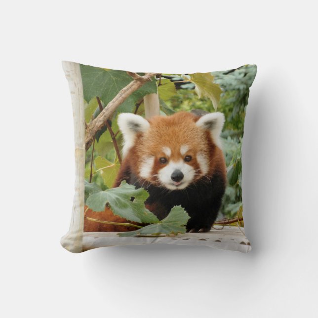 Red Panda Throw Pillow (Front)