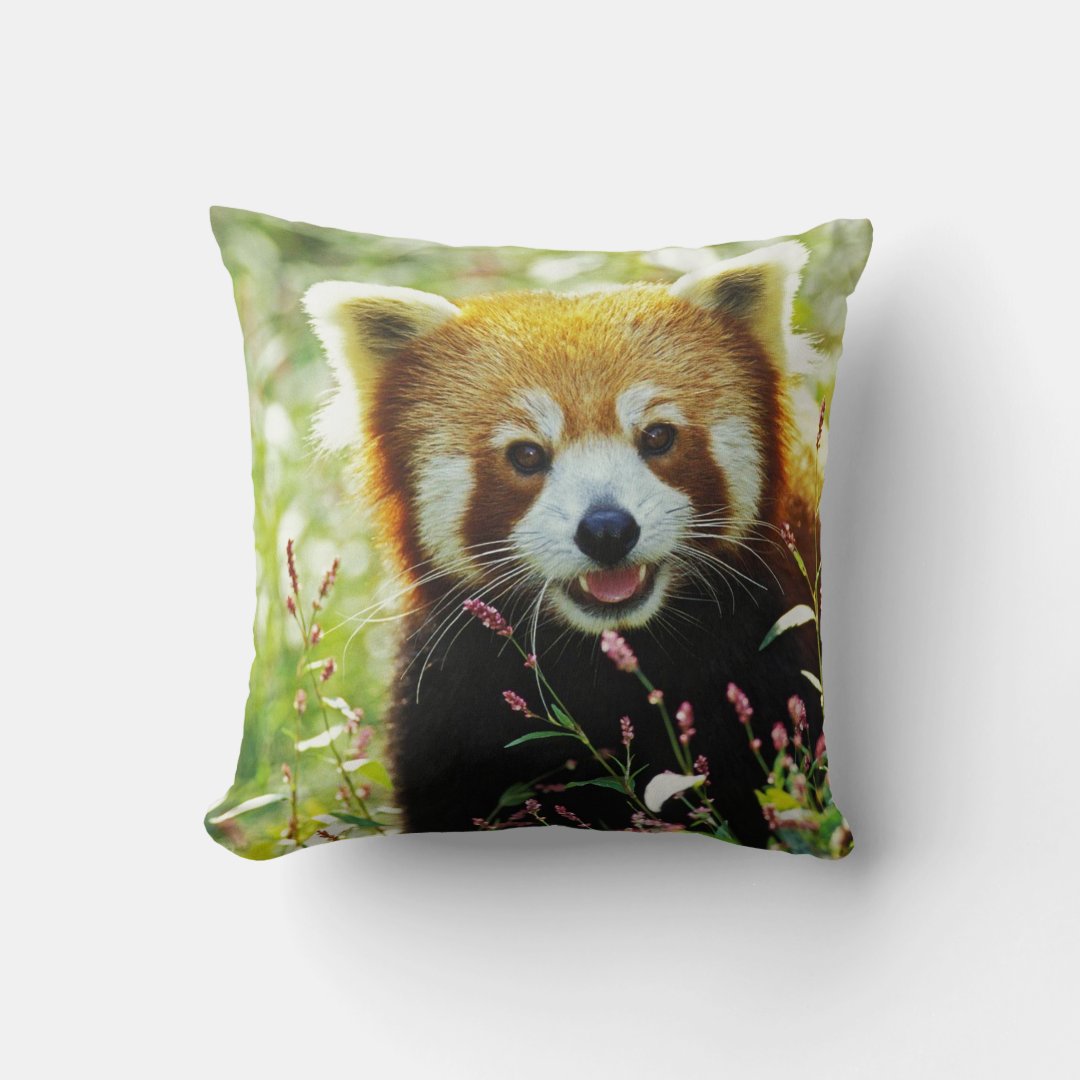 Red Panda Throw Pillow | Zazzle