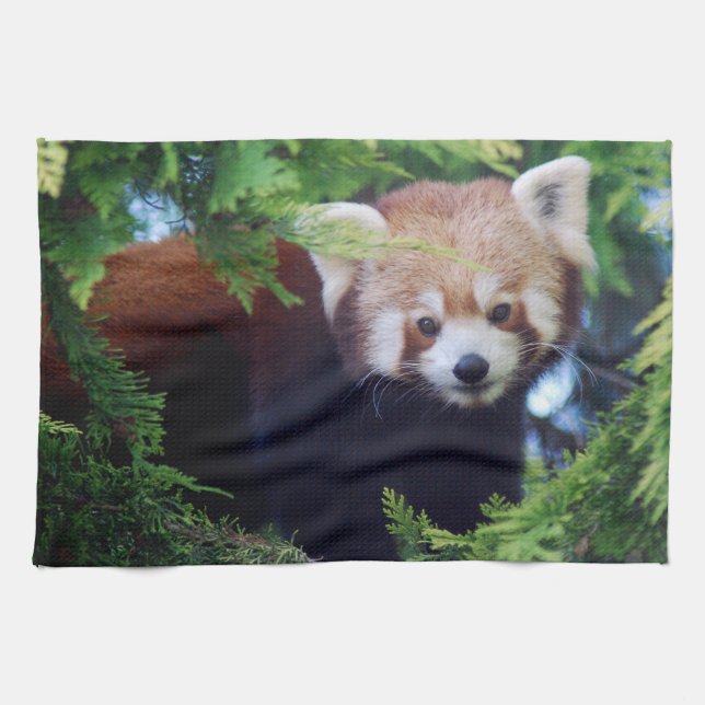 Red Panda Towel (Horizontal)