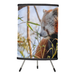 Red panda tripod lamp