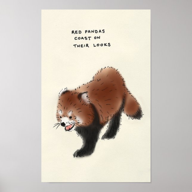 red panda trivia poster (Front)