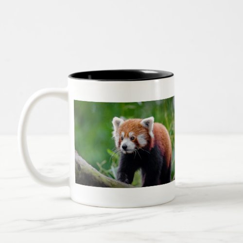 Red Panda Two_Tone Coffee Mug