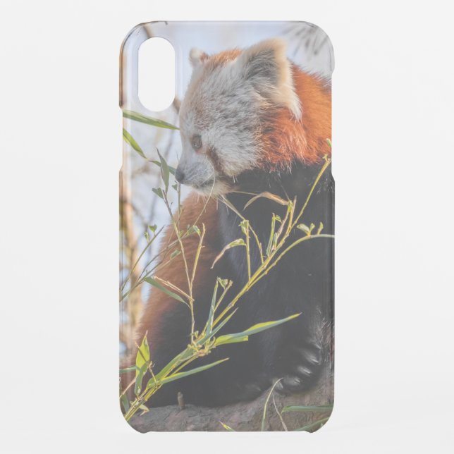 Red panda uncommon iPhone case (Back)