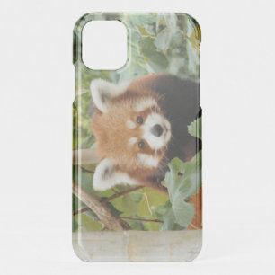 Red Panda iPhone 11 Case