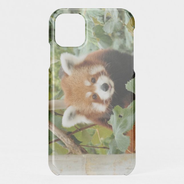 Red Panda Uncommon iPhone Case (Back)