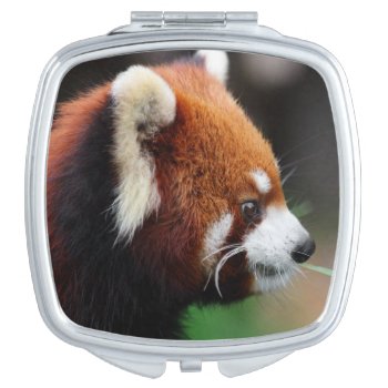 Red Panda Vanity Mirror by wildlifecollection at Zazzle
