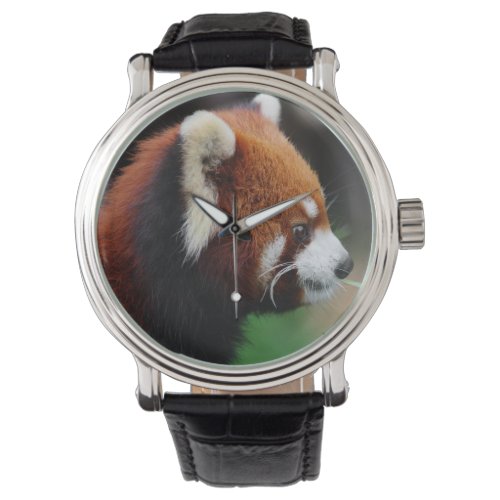 Red panda watch