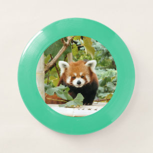 Red Panda Wham-O Frisbee