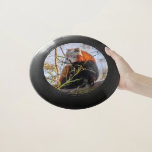 Red panda Wham-O frisbee