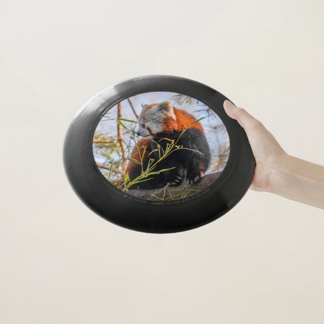 Red panda Wham-O frisbee (In Hand)