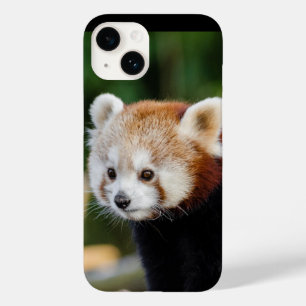 Red Panda Wild Animal Case-Mate iPhone 14 Case