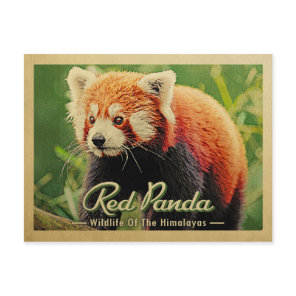 Red Panda - Wildlife Of The Himalayas Postcard