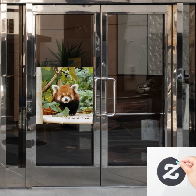 Red Panda Window Cling (Office Door)