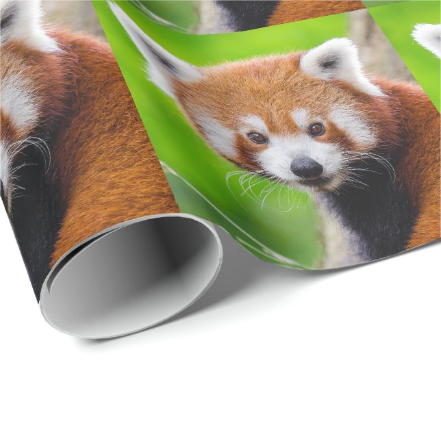 Red Panda Wrapping Paper (Roll Corner)