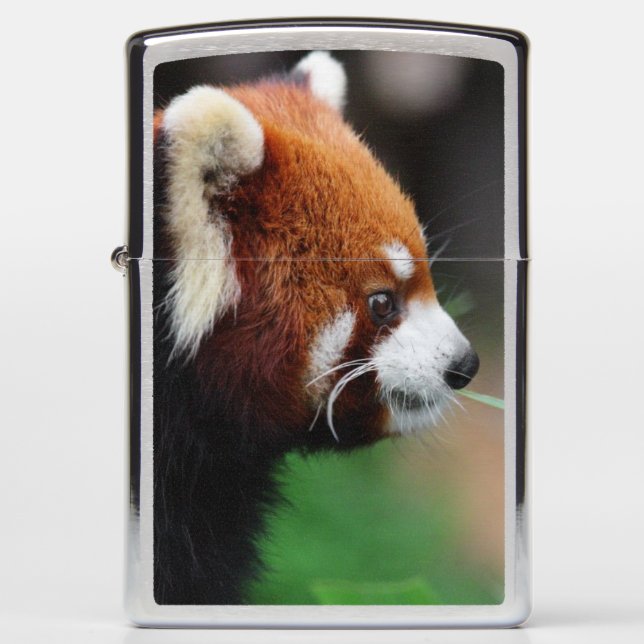 Red panda zippo lighter (Front)