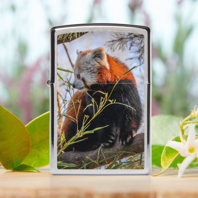 Red panda Zippo Lighter (On Table)