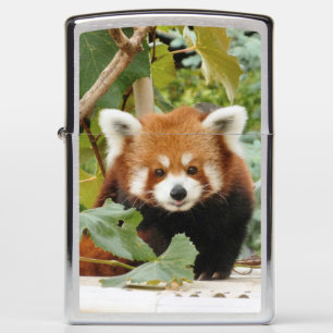 Red Panda Zippo Lighter