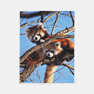 red pandas fleece blanket
