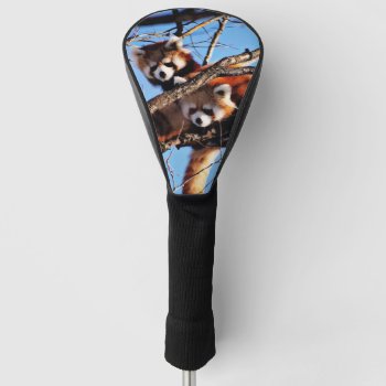 Red Pandas Golf Head Cover by MehrFarbeImLeben at Zazzle