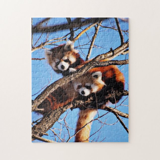 red pandas jigsaw puzzle (Vertical)