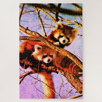 Red Pandas Jigsaw Puzzle by MehrFarbeImLeben at Zazzle