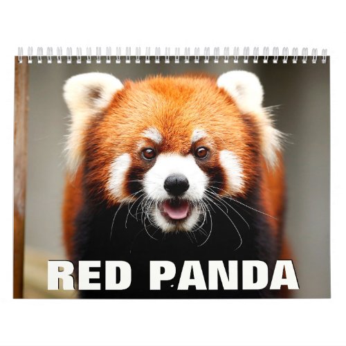 Red Pandas Wall Calendar