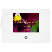 Red Pansie (Back Horizontal)