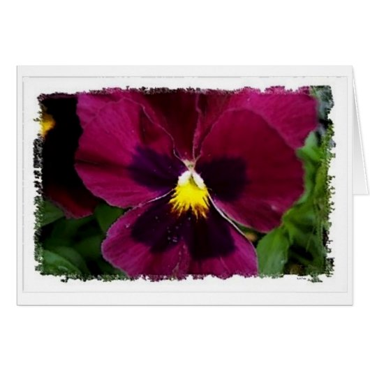 Red Pansie Cards (Front Horizontal)