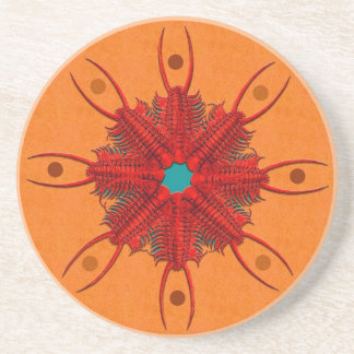 Red Paraceraurus fossil trilobite wheel Drink Coaster