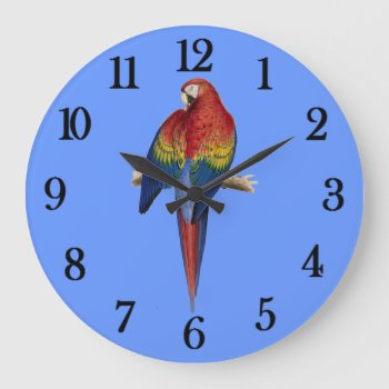 Red Parrot Blue Background Large Clock by FUNNSTUFF4U at Zazzle