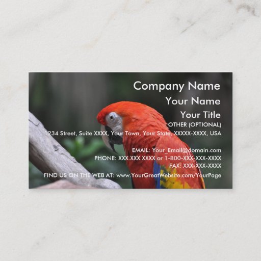 Customizable Red Parrot - business card template