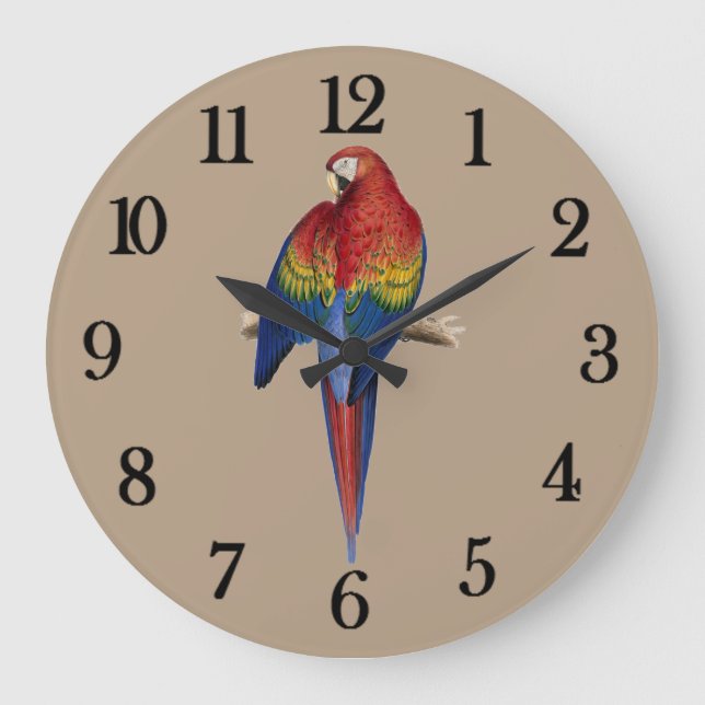 Red parrot large clock (Front)