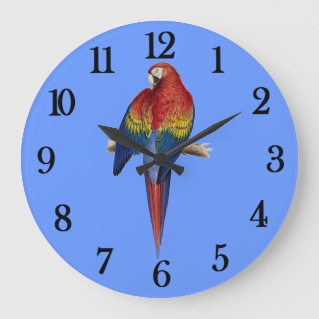 Red parrot large clock (Front)
