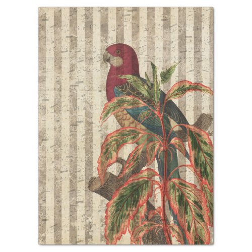 Red Parrot on Tan Stripes Decoupage Tissue Paper