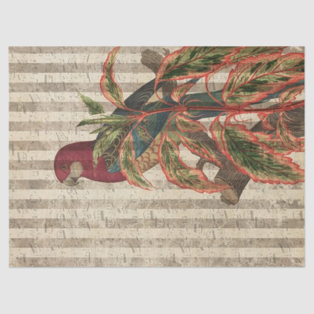 Red Parrot on Tan Stripes Decoupage Tissue Paper (Front)