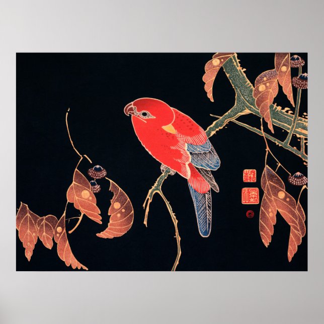 Red Parrot on Tree Branch by Ito Jakuchu Poster (Front)