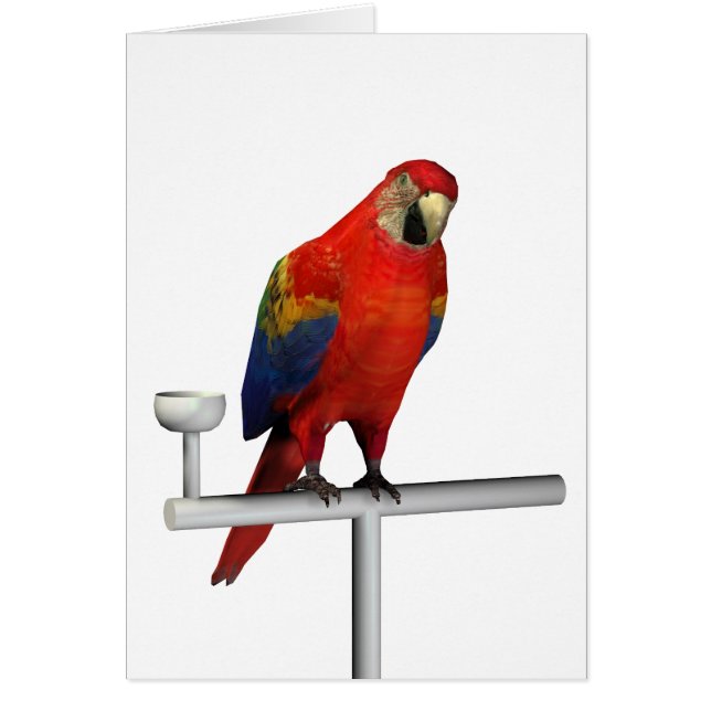 Red Parrot Scarlet Macaw Cards (Front)