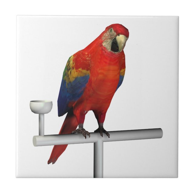 Red Parrot Scarlet Macaw Ceramic Tile (Front)