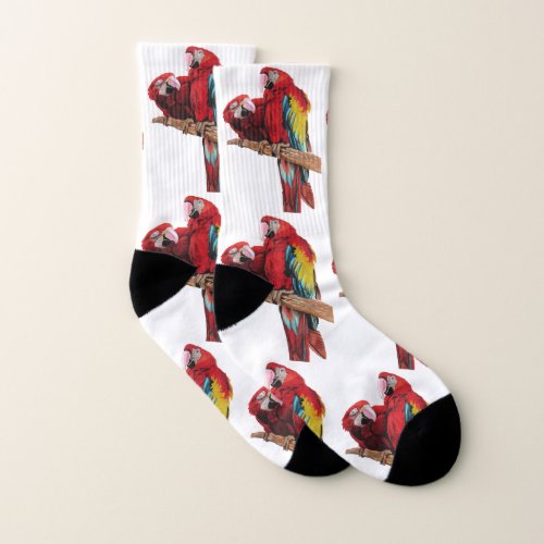 Red Parrot Tropical Macaw Art Pattern Mens Socks