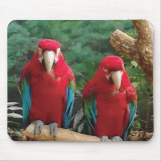 Red Parrots Mouse Pad