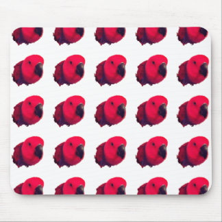 RED PARROTS MOUSEPAD